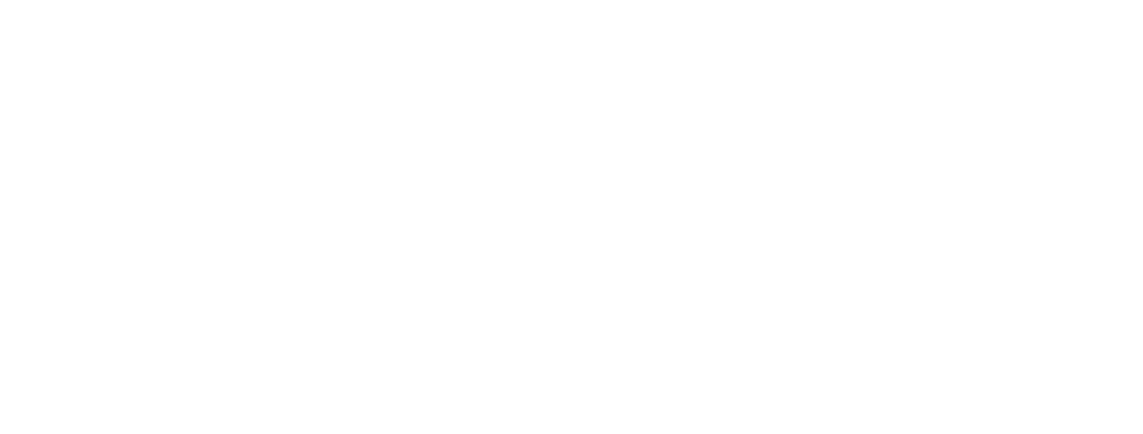 Logo FS News